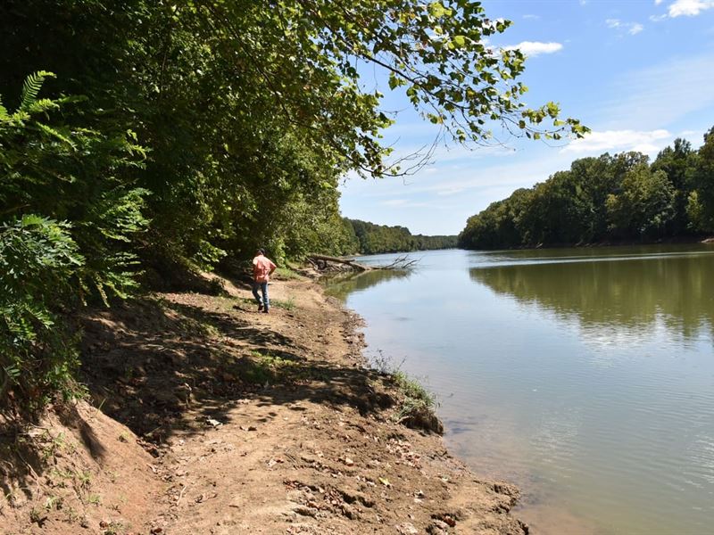 McGuyer Lane : Centertown : Ohio County : Kentucky
