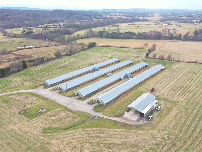 Phillips Town Broiler Farm : Bulls Gap : Hawkins County : Tennessee