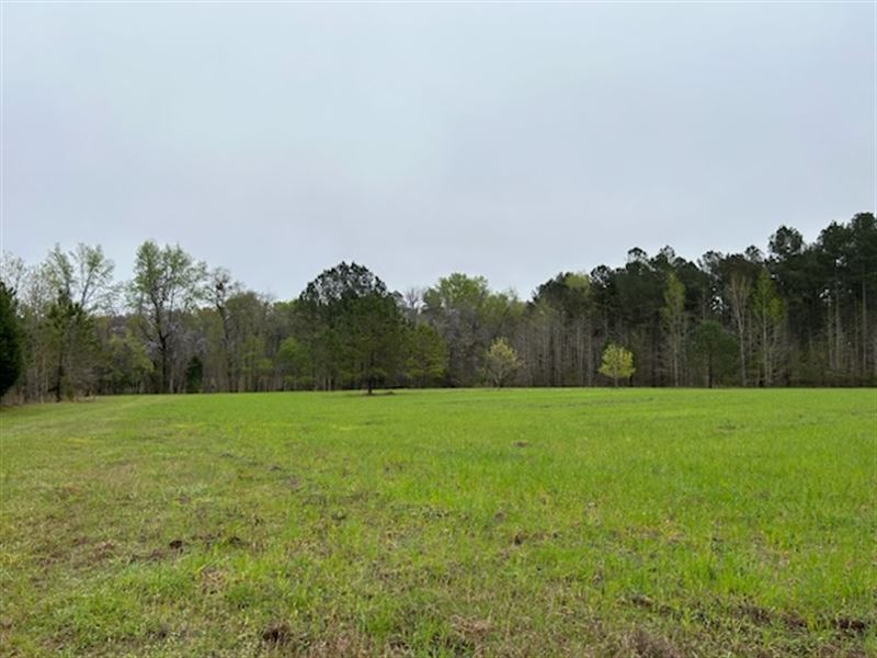 Hiltonia Hardwoods : Sylvania : Screven County : Georgia