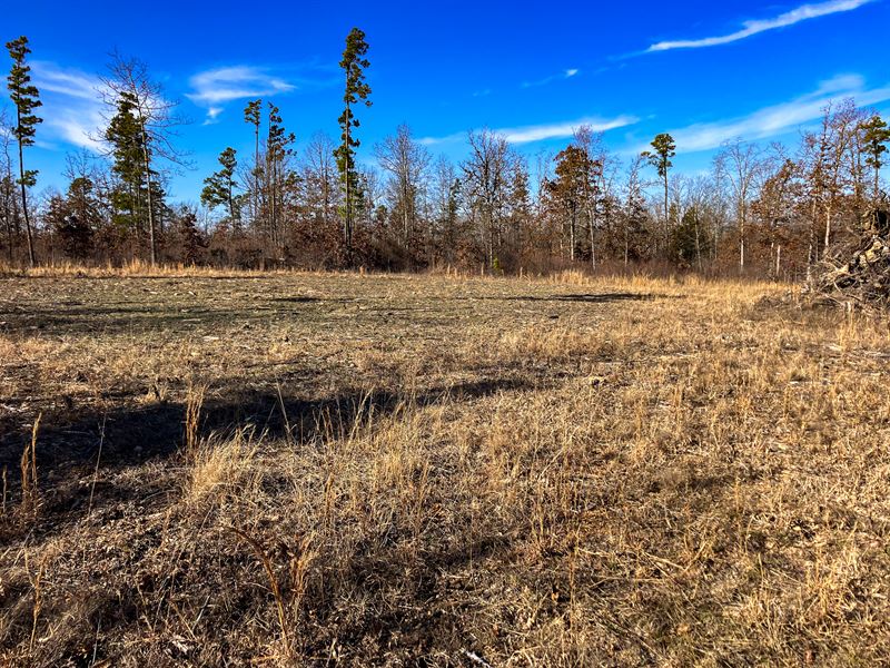 Private, Land for Sale with Cabin : Hartshorn : Texas County : Missouri