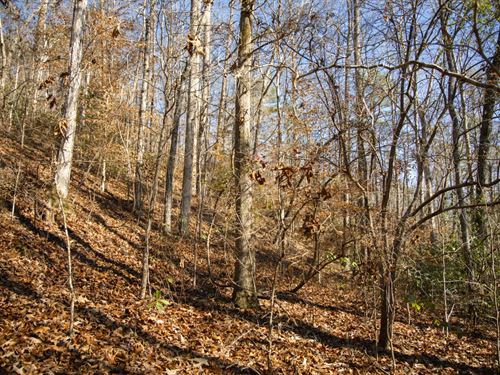 82 Acres in Bibb County, AL : Brent : Bibb County : Alabama