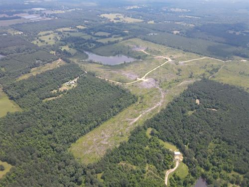 125 Acres in Scott County, MS : Forest : Scott County : Mississippi