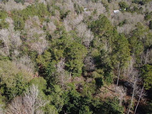 53.63 Acres in Washington Parish : Bogalusa : Washington Parish : Louisiana