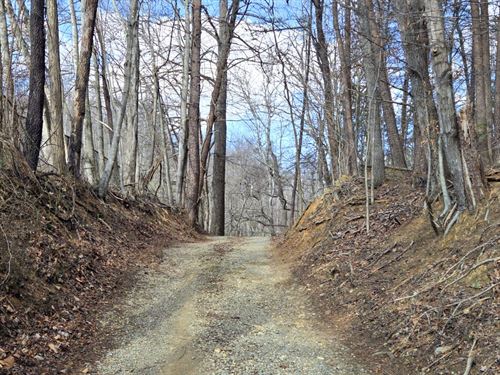 Private Land with Views : Boones Mill : Franklin County : Virginia