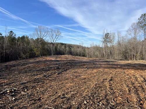 Abbeville County Homestead : Abbeville : South Carolina
