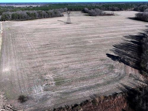 Beautiful Farm and Timber Land : Red Springs : Hoke County : North Carolina
