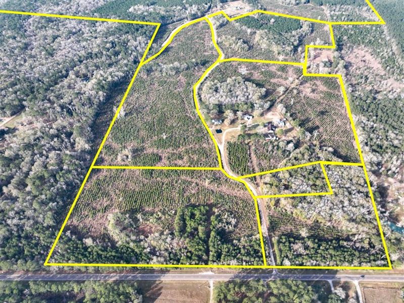 40 Acres, T-9, FM 787, 00043 : Saratoga : Hardin County : Texas