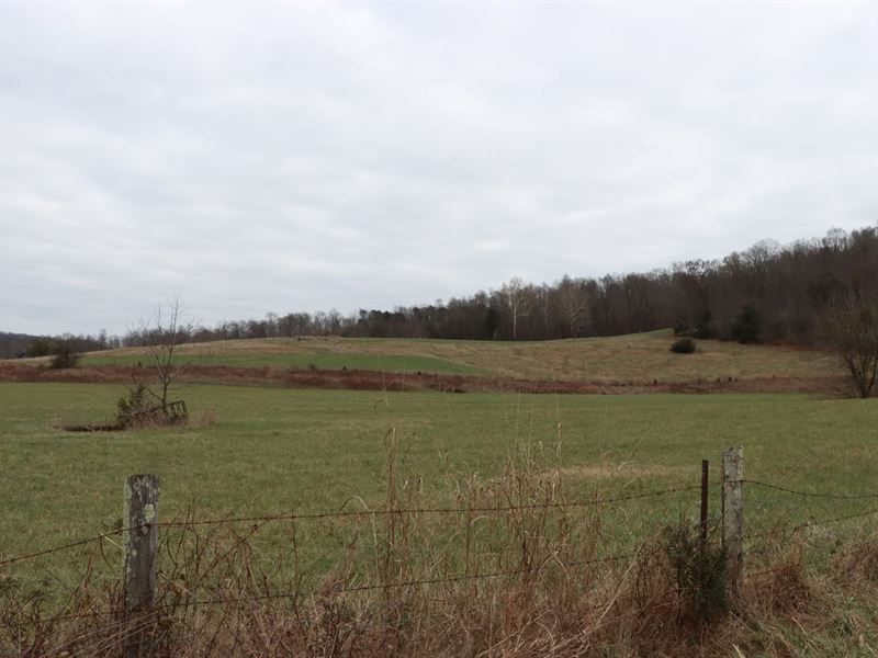 Cattle Horse & Hunting Property : Horse Cave : Hart County : Kentucky