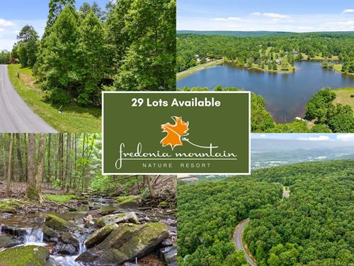 29 Lots, Fredonia Mtn Nature Resort : Dunlap : Sequatchie County : Tennessee