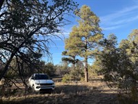 Off-Grid Freedom in Cubero : Cubero : Cibola County : New Mexico