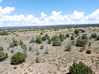Quiet High Desert Setting : Pinehill : Cibola County : New Mexico