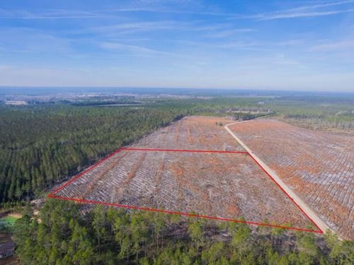17 Acres Tract in Morris Break Road : Odum : Wayne County : Georgia