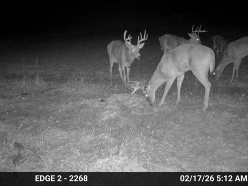 Beaver Creek Bottomground : Herndon : Decatur County : Kansas