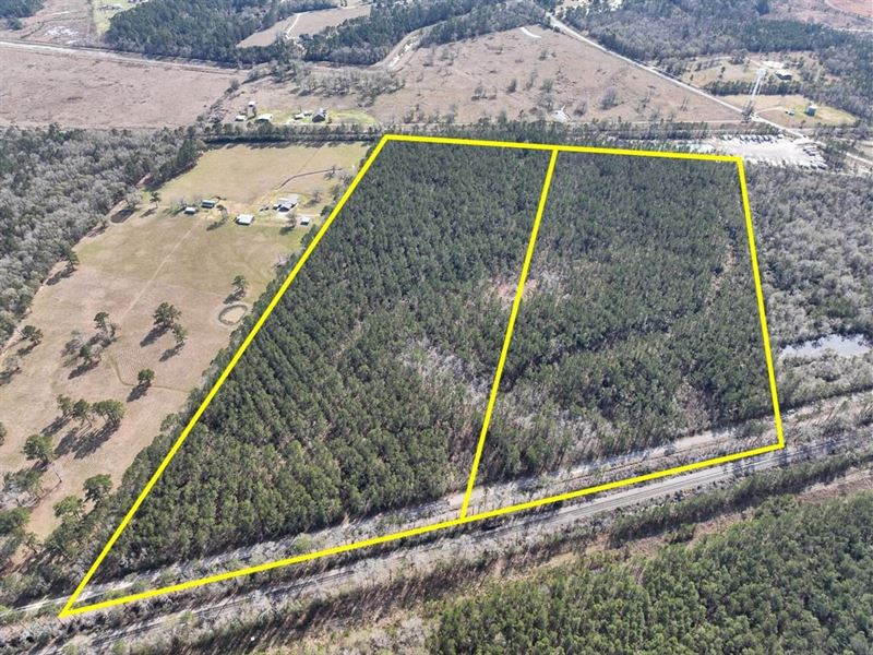 29 Acres, T-1, Zavalla Road, 047 : Mauriceville : Orange County : Texas