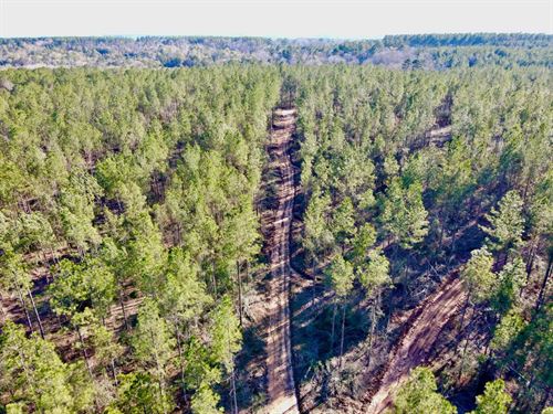 100 Acres in Jones County, MS : Ellisville : Jones County : Mississippi