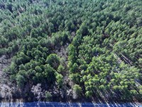 Lot 4 Rural Wooded Lot : Fairmont : Robeson County : North Carolina