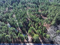 Lot 6 Wooded Home Lot : Fairmont : Robeson County : North Carolina