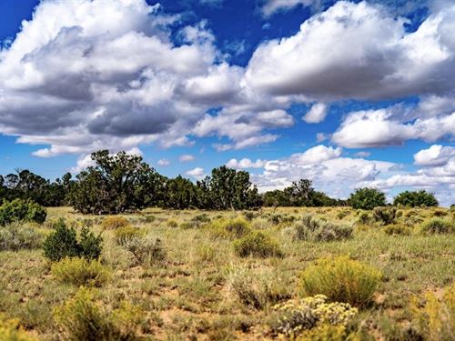 5 Acre Off-Grid Desert Paradise in : Saint Johns : Apache County : Arizona