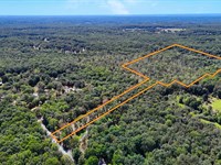 Wooded Land with Total Privacy : Nunnelly : Hickman County : Tennessee