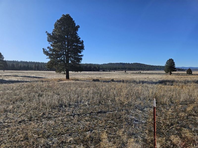 Natural Beauty : Beatty : Klamath County : Oregon