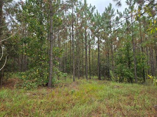 Alton Lawson Getaway : Adrian : Emanuel County : Georgia