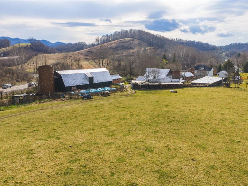 Land Auction Open Farm and Ranch : North Tazewell : Tazewell County : Virginia