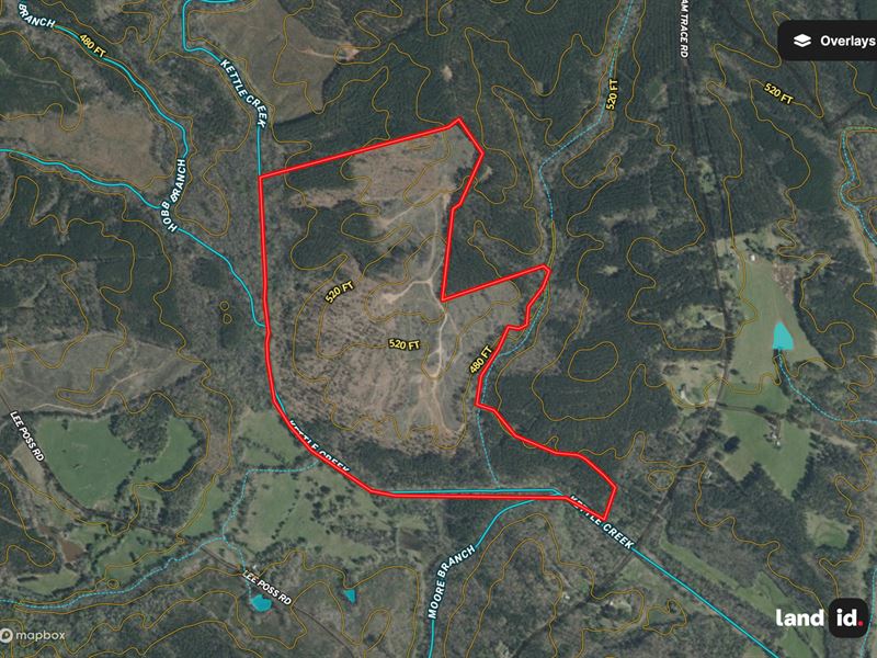 Kettle Creek Ridge, 244 Acres, WI : Rayle : Wilkes County : Georgia