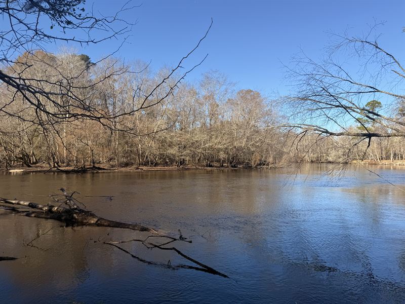 Edisto River Tract : Orangeburg : Orangeburg County : South Carolina