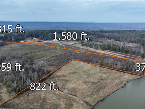 Chandler Mtn Tomato Farm Land : Steele : Saint Clair County : Alabama