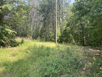 Terry Shop Road Estate : Fountain Inn : Greenville County : South Carolina