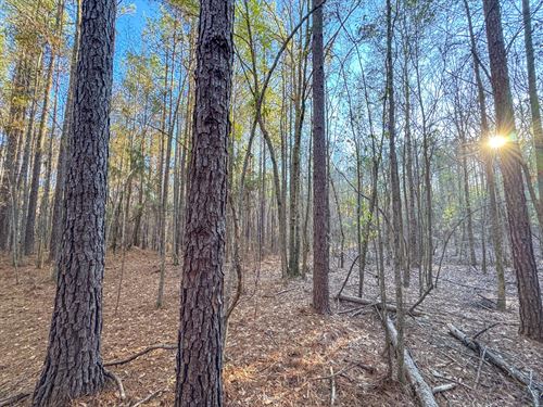 6 Acre Mini Farm in Waverly : Waverly : Tallapoosa County : Alabama