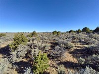36.62 Acres for Long Term Plan : San Luis : Costilla County : Colorado
