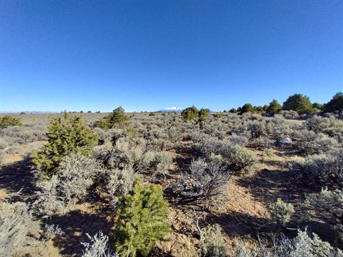 36.62 Acres for Long Term Plan : San Luis : Costilla County : Colorado