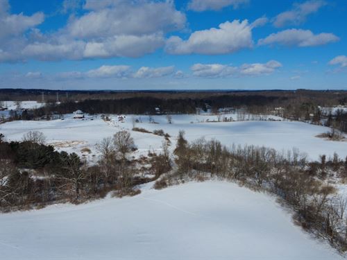 Bordman Road 80 Acres, Oakland : Leonard : Oakland County : Michigan