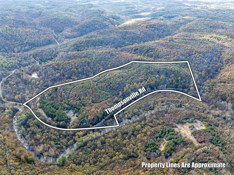 Thompsonville Rd, 51 Acres : Vinton : Vinton County : Ohio