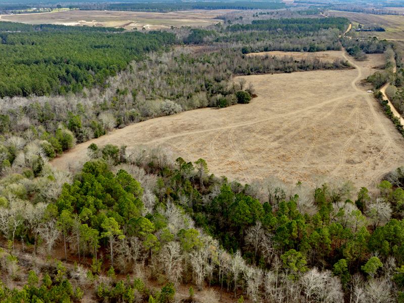 Telfair Tract 2 : Milan : Telfair County : Georgia