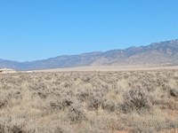 Country Living Close to Town : Belen : Valencia County : New Mexico