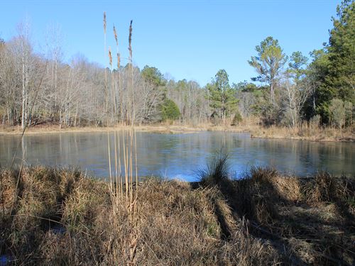 A Rare 400 Acre Timber Holding : Berry : Tuscaloosa County : Alabama