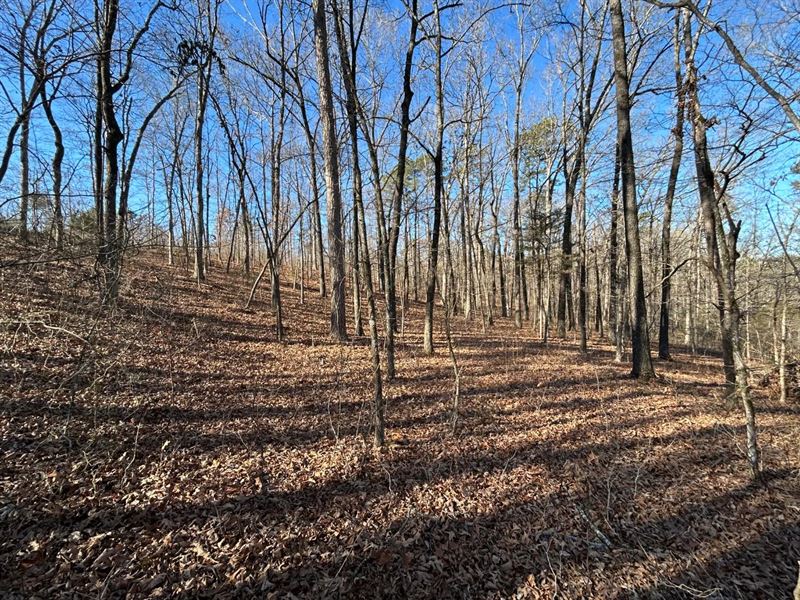 71 Acres in Independence County, AR : Floral : Independence County : Arkansas