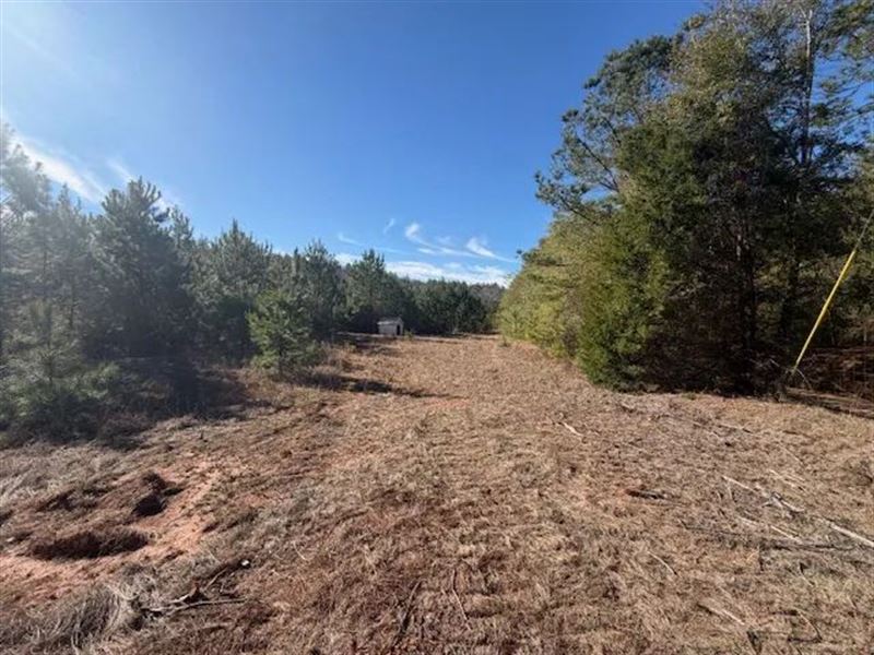 27.24 Acres in Covington County, AL : Red Level : Covington County : Alabama