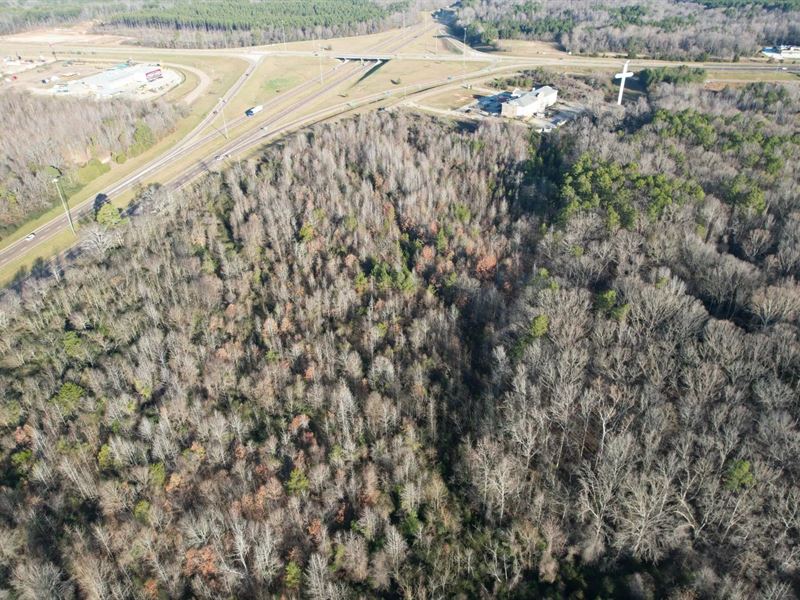 66 Acres in Montgomery County, MS : Winona : Montgomery County : Mississippi