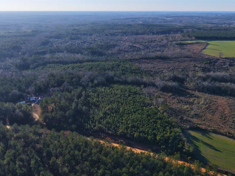 14 Acres in Covington County, AL : Opp : Covington County : Alabama