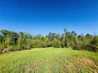 Wolf Creek Sportsman Tract : Monticello : Jasper County : Georgia