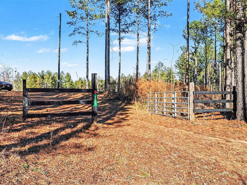 63 Acres in Comer, GA : Comer : Madison County : Georgia