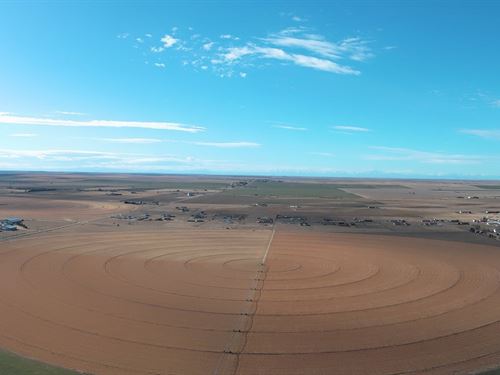 Southwest Morgan County Pivot Irrig : Wiggins : Morgan County : Colorado