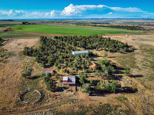 Cortez CO Irrigated Farm for Sale : Cortez : Montezuma County : Colorado