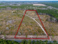 12.30 Acres, Cox Tract 4 in Dodge : Eastman : Dodge County : Georgia
