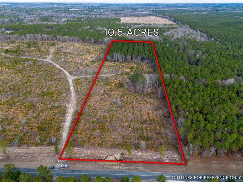 10.50 Acres, Cox Tract 5 in Dodge : Eastman : Dodge County : Georgia
