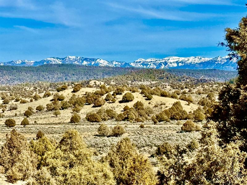 Pinon Hills Ranch Lot 27 : Pagosa Springs : Archuleta County : Colorado