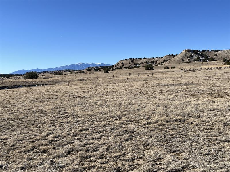 Hatchet Ranch Horse Creek : Pueblo : Pueblo County : Colorado